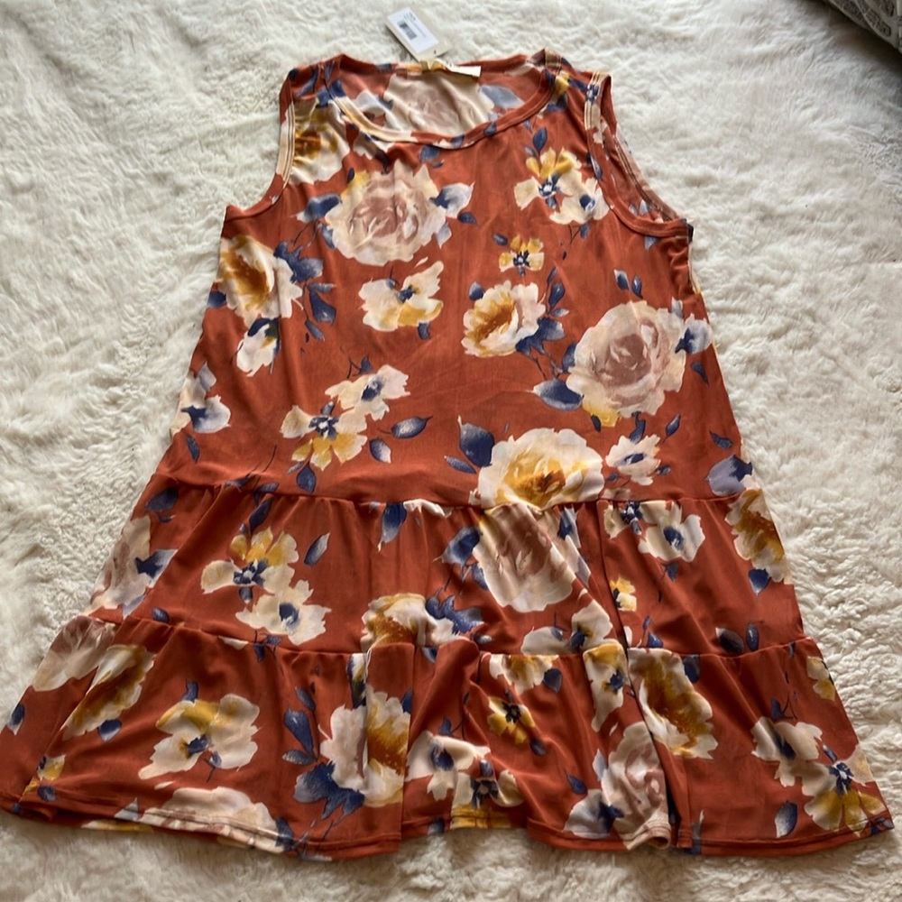 NWT Sheer tunic length tank.